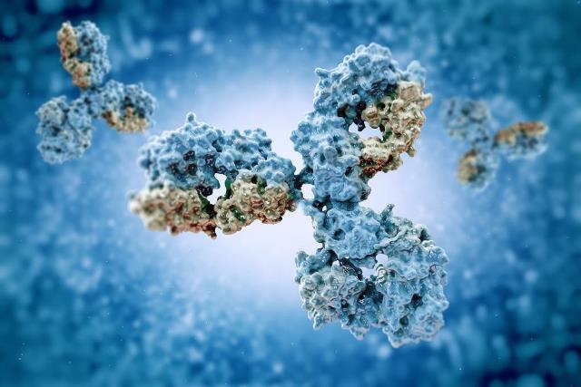 Lilly and Merus to develop novel T-Cell re-directing bispecific antibodies