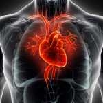 shutterstock_398191585