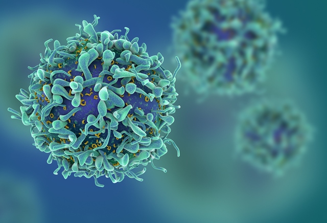 Boehringer & Enara Bio forge cancer immunotherapy agreement