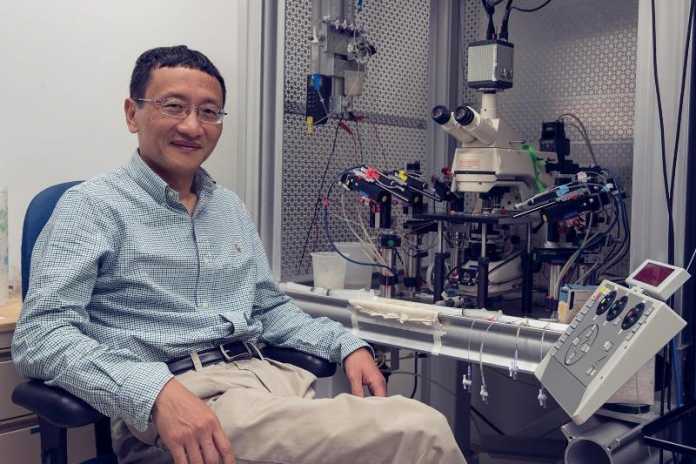 j_julius_zhu_da_header_3-2 Researchers developing method of creating side effect free medicines
