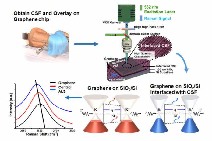 ALS-Detection-1-new Graphene may be key to detecting ALS