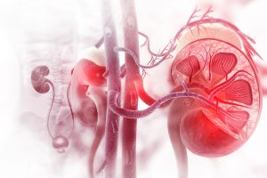 US FDA approves Jardiance to treat adults with chronic kidney disease