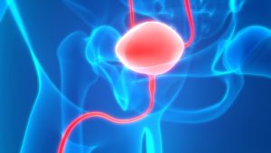 PADCEV with KEYTRUDA approved by FDA as the first and only ADC plus PD-1 to treat advanced bladder cancer